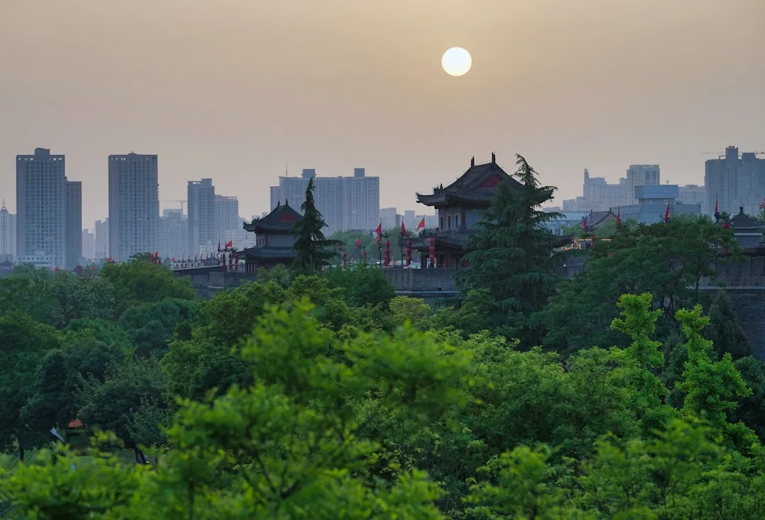 2024年北京K12学校投影机与视频展台设备升级趋势分析